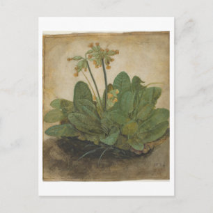 Tuft of Cowslips van Albrecht Durer Briefkaart