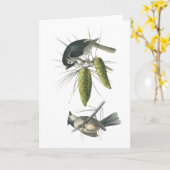 Tufted Mees, John Audubon Kaart (Gele Bloem)