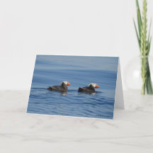 Tufted Puffins Dank je kaart