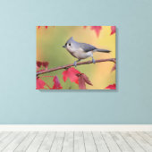 Tufted Titmice Canvas Afdruk (Insitu (Houten vloer))