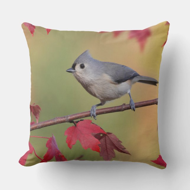 Tufted Titmice Kussen (Voorkant)
