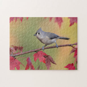 Tufted Titmice Legpuzzel