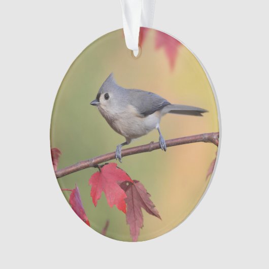 Tufted Titmice Ornament (voorkant)