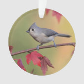 Tufted Titmice Ornament (voorkant)