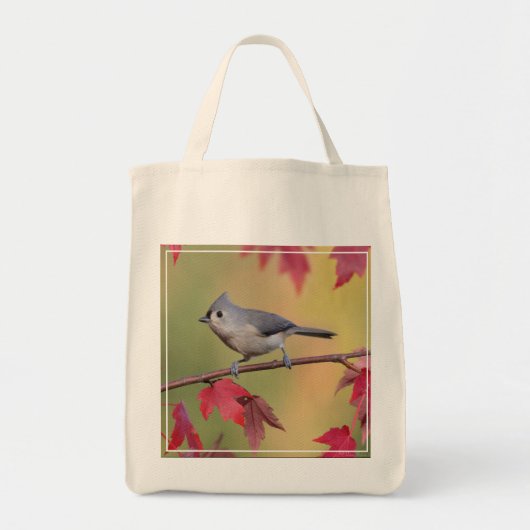 Tufted Titmice Tote Bag (Voorkant)