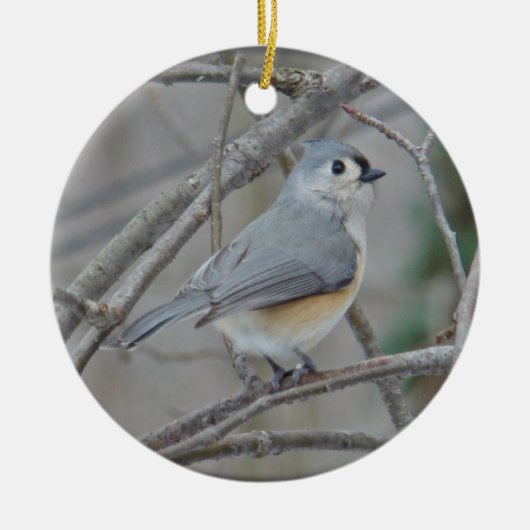 Tufted Titmouse (Baeolophus bicolor) Keramisch Ornament (Voorkant)