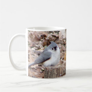 Tufted Titmouse Bird Mok