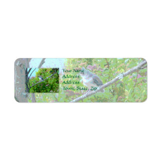 Tufted Titmouse Fledgling Baby Bird Etiket