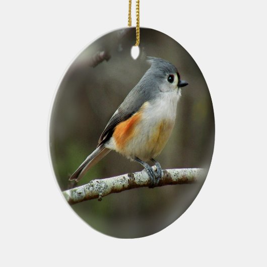 Tufted Titmouse Ornament (Rechts)