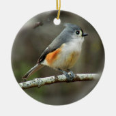 Tufted Titmouse Ornament (Voorkant)