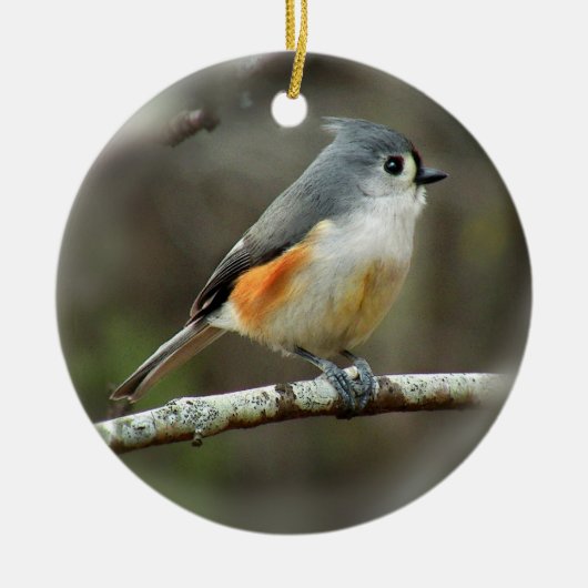 Tufted Titmouse Ornament (Voorkant)