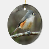 Tufted Titmouse Ornament (Links)