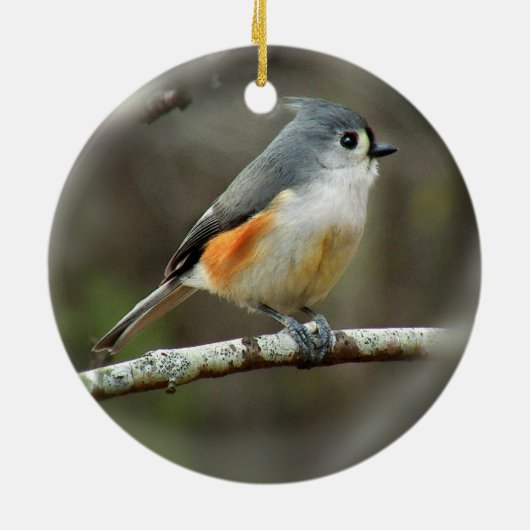 Tufted Titmouse Ornament (Achterkant)