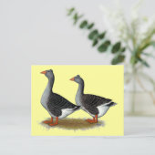 Tufted Toulouse Geese Briefkaart (Staand voorkant)