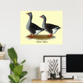 Tufted Toulouse Geese Poster (Thuiskantoor)
