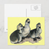 Tufted Toulouse Goslings Briefkaart (Voorkant / Achterkant)