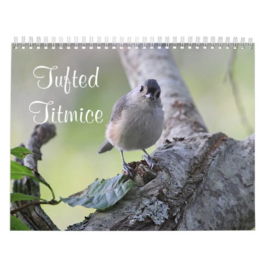 Tuftipus Kalender (Hoes)
