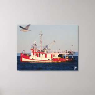 Tug Boat op Mutiny Bay met een vogel Canvas Afdruk