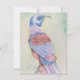 Tui - ansichtkaart briefkaart