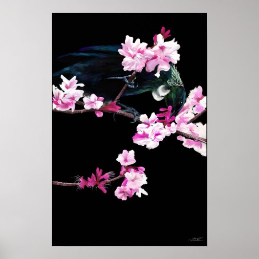 Tui Bird feed on Cherry Blossom - (GROTE) Poster (Voorkant)