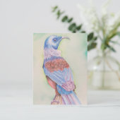 Tui - carte postale (Debout devant)
