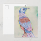 Tui - carte postale (Devant / Derrière)