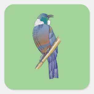 Tui New Zealand Bird Vierkante Sticker