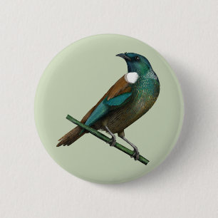 Tui Nieuw-Zeelands Vogel Ronde Button 5,7 Cm