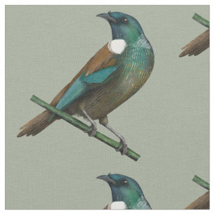Tui Nieuw-Zeelands Vogel Stof