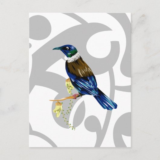 Tui NZ Bird Briefkaart (Voorkant)