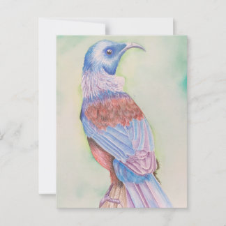 Tui - postcard briefkaart