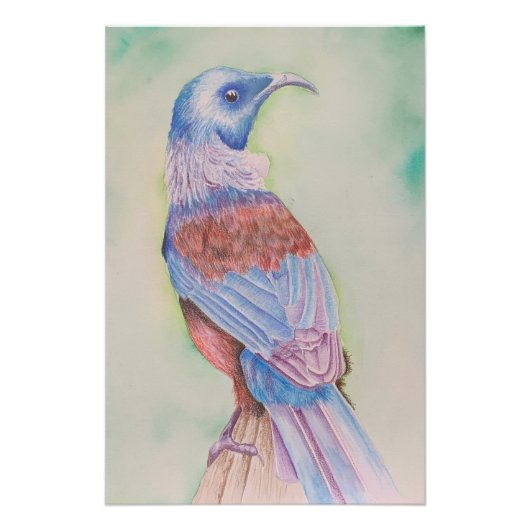 Tui - poster perfect poster (Voorkant)