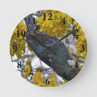 Tui van Aotearoa
