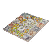 Tuile néerlandaise de carreaux de céramique (Côté)