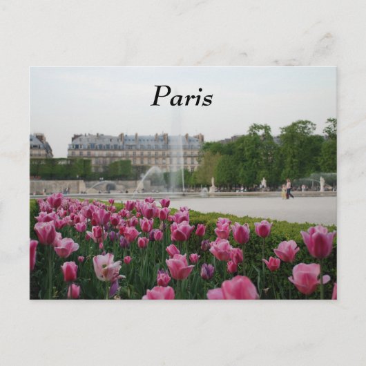 Tuileries Garden in bloom Briefkaart (Voorkant)
