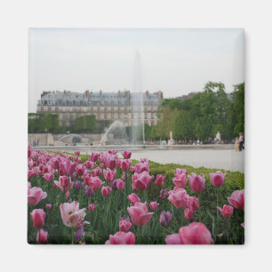 Tuileries Garden in bloom Magneet