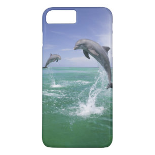 Tuimelaars Tursiops truncatus iPhone 8 Plus / 7 Plus Hoesje