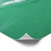 Tuimelaars Tursiops truncatus Poster (Hoek)