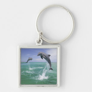 Tuimelaars Tursiops truncatus Sleutelhanger