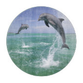 Tuimelaars Tursiops truncatus Snijplank (Voorkant)