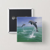 Tuimelaars Tursiops truncatus Vierkante Button 5,1 Cm (Voorkant /achterkant)