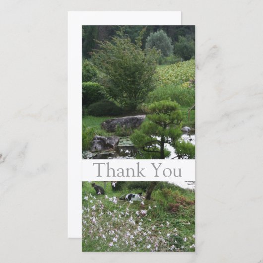 Tuin 3 met Katten Dank U Foto Kaarten 1 (Voorkant / Achterkant)