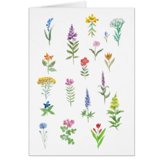 tuin bloemen ansichtkaart