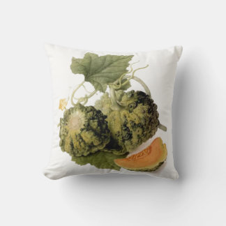 tuin, gourd en wijnbouw kussen