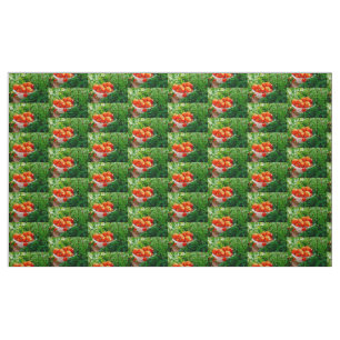 Tuin lekkernijen stof