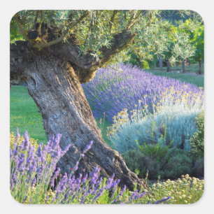 Tuin met bloemen, Frankrijk Vierkante Sticker