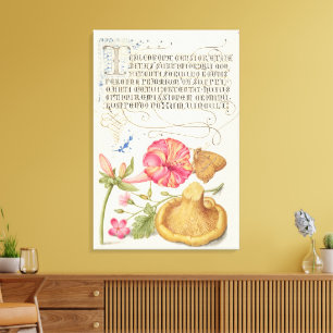Tuin met bloemen, vlinder en paddestoel canvas afdruk