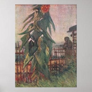 Tuin met zonnebloem en een meisje van Gogh Poster