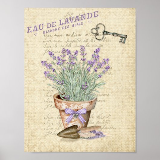 Tuin Terracotta Pot Franse Lavendel Poster (Voorkant)