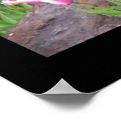 Tuin Tulp Poster Afbeelding (Hoek)